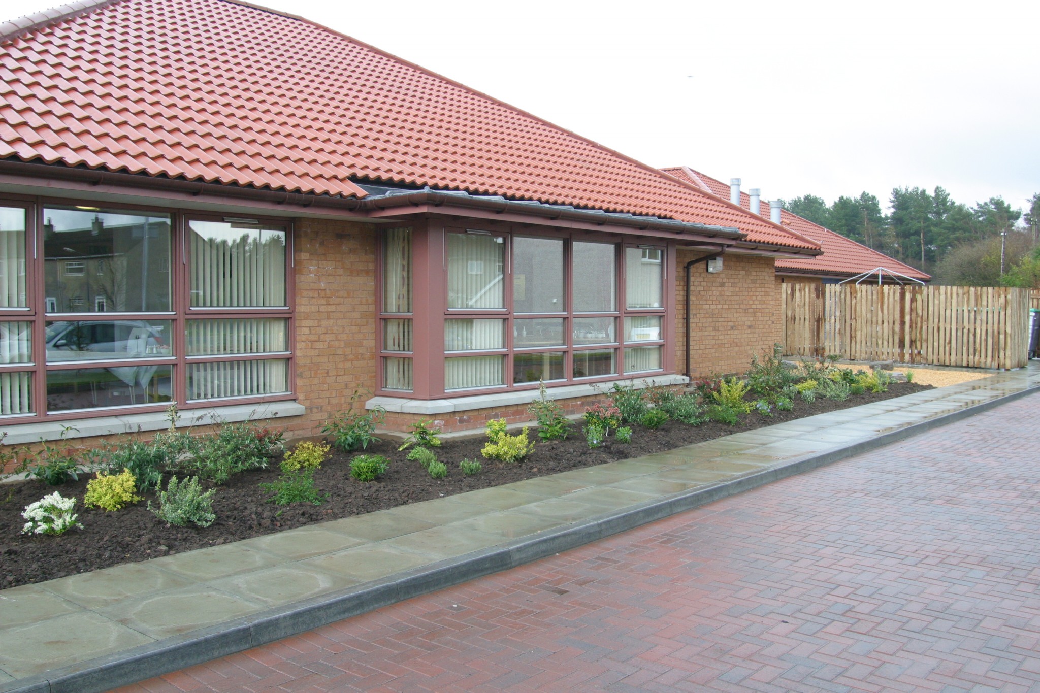 Läkemedel Apcalis jelly 20 mg